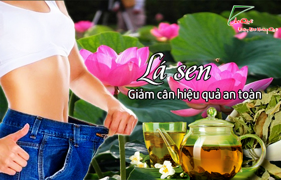 Bao nhiêu tiền một kg lá sen khô?